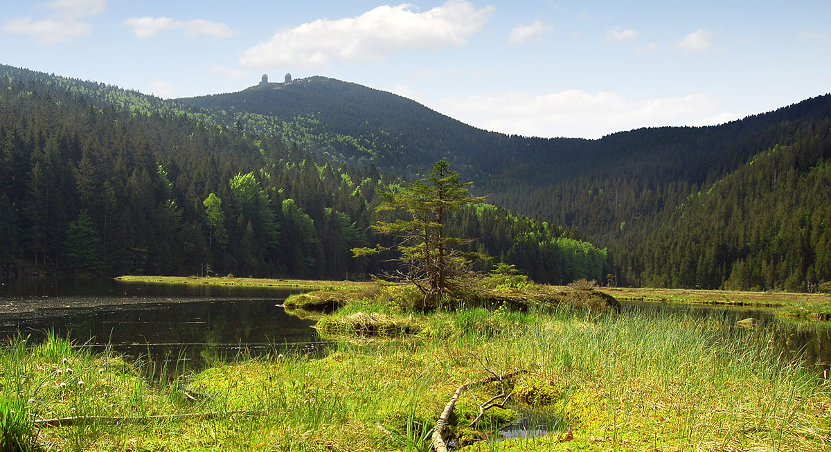 Urlaub im Bayerischer Wald